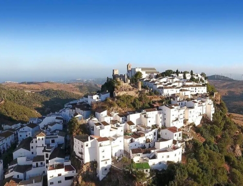 The best trips from Estepona
